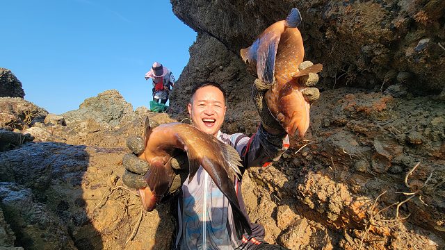 大水坑鱼获就是与众不同，光收获的石斑鱼就值千元，全程惊喜不断