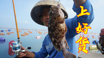 小漁村阿興戶外直播_小漁村阿興視頻直播 - 虎牙直播