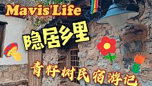 【Mavis`Life】逃离城市的喧嚣，在深山中偶遇200年历史民宿，美食与美景不可辜负，保定青籽树