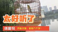 绣眼鸟大唱，婉转响亮，数数几个字？