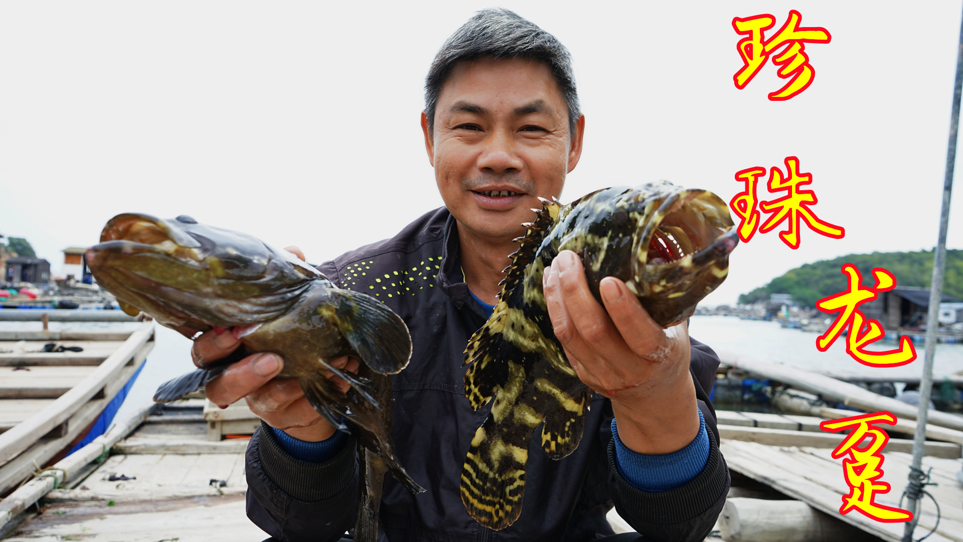 阿兴出海大丰收，捕获25斤的野生赤嘴鳘，网友花5000块立刻