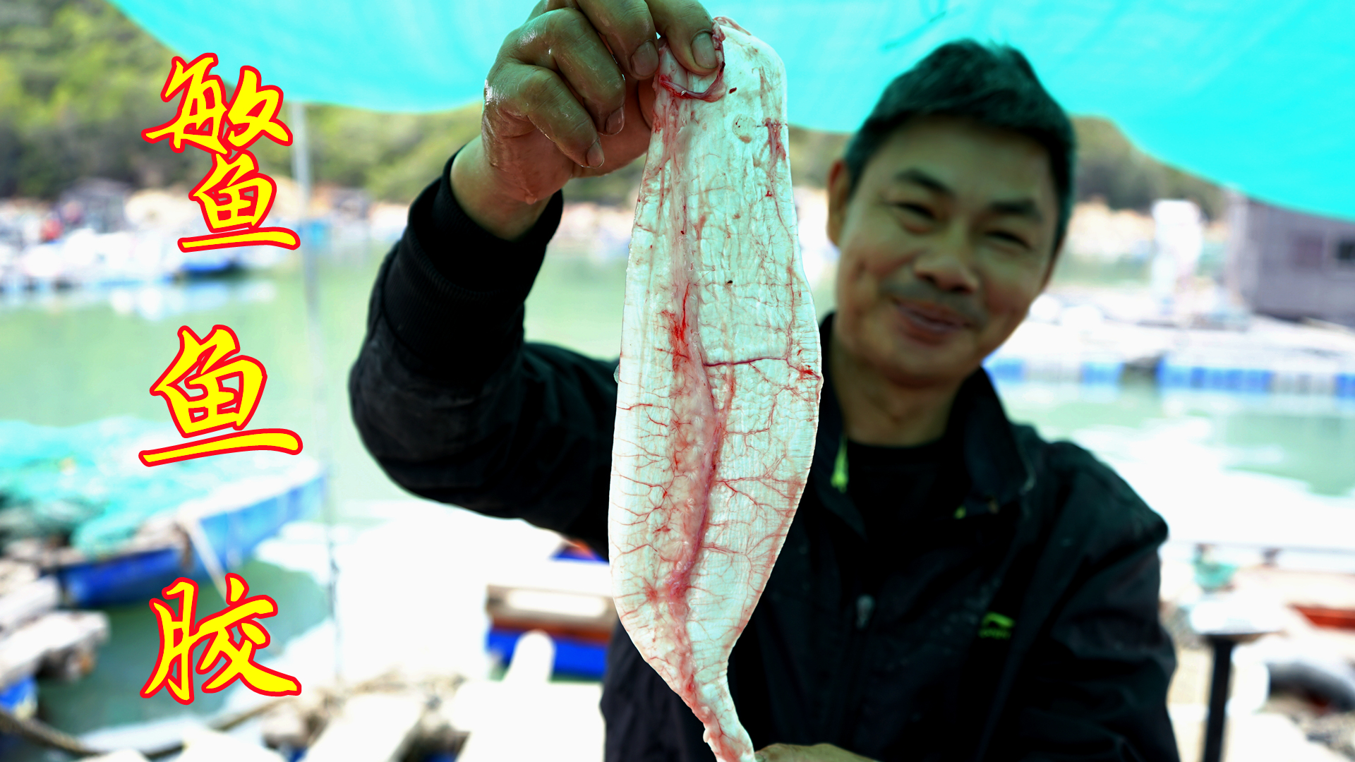 一条价值5千块的鱼，在海上现场取宝，取出来的鱼胶都接近半斤