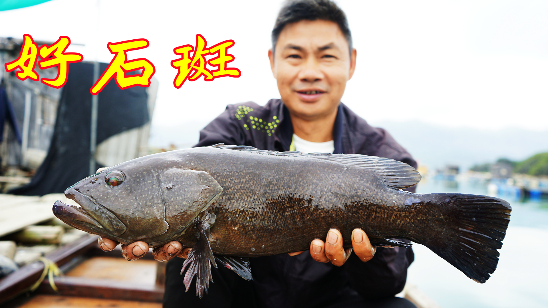 这样拉网越拉越兴奋，好货接二连三的上网，超大的石斑鱼太漂亮了