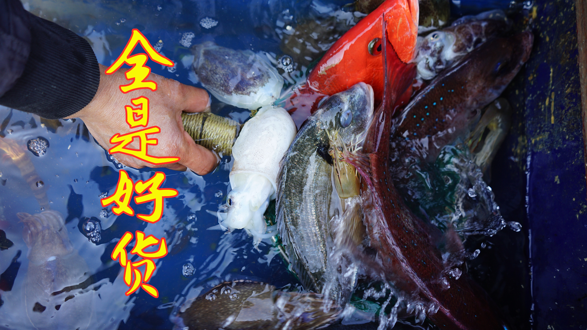 阿兴出海捕获13斤重的青衣鱼，朋友爽快花1000块直接买下做