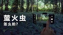 被惊艳到了！居然用手机拍到梦幻荧火虫大片!