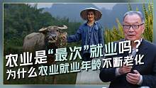 农民身份“自卑”，又挣不到钱？为什么农业劳动力不断老龄化？