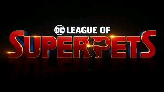 动画电影《DC超级宠物联盟》定档预告公布，电影将于 明年5月20日 在北美地区上映。