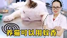 听说菊酯对猫咪有毒，那养猫家庭可以用蚊香吗？宠物医生:可以用