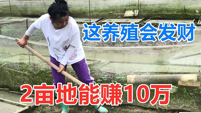 不得了！今年这养殖密度，怕是2亩可赚10万，想赚钱可以一起干！