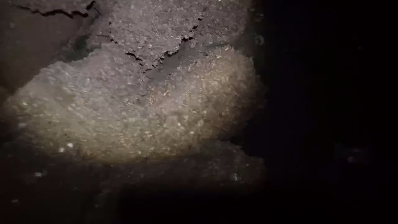 深夜海边的螃蟹纷纷露出水面，抓到手软，收获兴奋无比