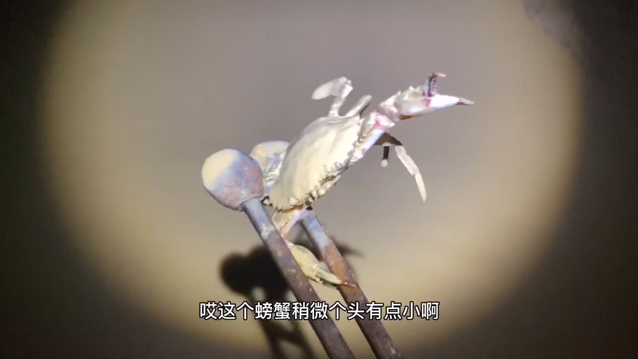 赶海拾贝是非常不错的休闲度假模式