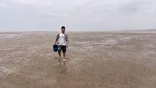 养海期，赶海还能抓到什么海鲜！