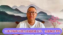 三本学校和专科合并成职业大学，会影响公考吗
