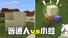 我的世界：普通人vs小蛙！沙子怎么是歪的？