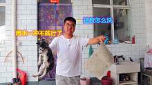 二哈把粘鼠板粘到身上，小吉用食用油和洗洁精给它洗，能洗净吗？
