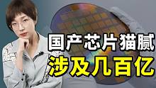 济南数百亿芯片项目暴雷，大潮之下谁在裸泳？
