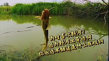 這就是釣魚人的終極夢想吧！