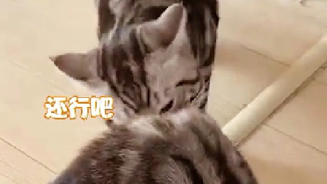 你们说我坏不？我觉得我还行吧