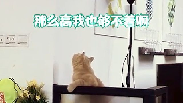 你们评评理，这事儿怪我吗？