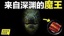 原来，你吃的鳗鱼，每一只都见过海底深渊的秘密|自说自话的总裁