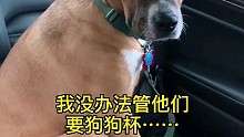 狗狗杯有那么好吃吗！！！