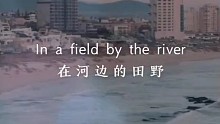 《爱尔兰画眉》，唯希望与音乐不可辜负