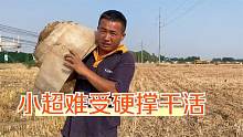 农村小伙种60亩玉米真拉风，小超一上午跑10趟厕所，又该换裤子了