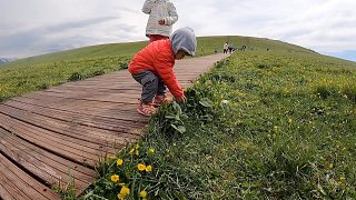 姐弟倆的第一次戶外旅行@喀拉峻大草原鮮花臺