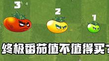 植物大战僵尸：终极番茄值不值得买？玩过之后都后悔