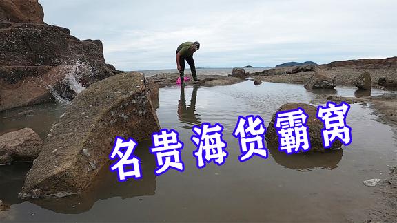 欢迎来到吴哥赶海的直播间