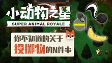 【橘子猪】小动物之星中你不知道的关于投掷物的N件事情！！