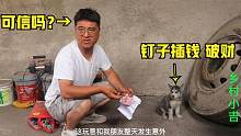 小吉朋友最近很倒霉，二哈在他家發(fā)現釘子插錢直呼活該，咋回事？