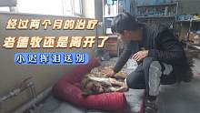 狗肉车上救的狗狗历经两个月的治疗还是安详的走了，小迟挥泪送别