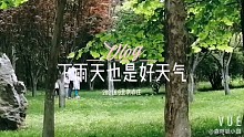为什么森林幼儿园孩子们期待下雨天？