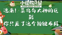《小动物之星》首创键位堆叠大法  最强双指键位布局