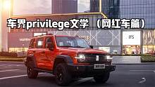 车界privilege文学 （网红车篇）