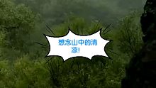 天儿太热，想念山中清凉