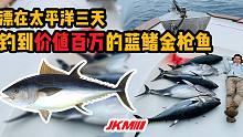 收获上百万！去墨西哥外海钓三天蓝鳍金枪鱼！