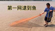 黄河老鹰来到河里，第一网就逮到黄河鲶鱼，运气非常好
