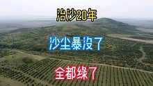 90年代末，这个村沙化严重沙尘肆虐，20年种树9万亩全都绿了