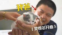 当初说讨厌猫的老爸，特意请假跑来撸小猫，太逗了！
