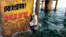 屹立在海上的“钢铁怪物”，阿雄爬上去摘上百斤鲜货，紧张又刺激