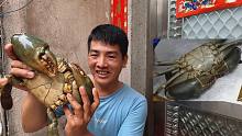刀仔抓4斤重的青蟹王1000块都不卖，它跟斯里兰卡青蟹有何区别？