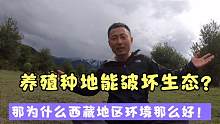 西藏到处放羊牦牛藏香猪，生态依然保持那么好，专家一直在撒谎！