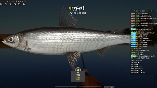 【俄钓导师】直播托钓上星欧白鲑