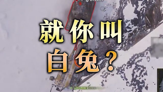 【童灿】坦克世界：就你叫白兔啊？