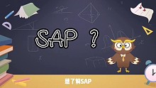 什么是SAPABAP
