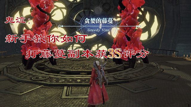 鬼泣贪婪的藤蔓副本轻松获得3S评分教学