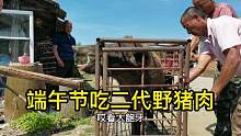 东北林区人多豪橫，端午节杀二代野猪吃，2年才长140斤，这肉真好