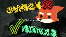 小动物之星，NO：福瑞控之星，YES
